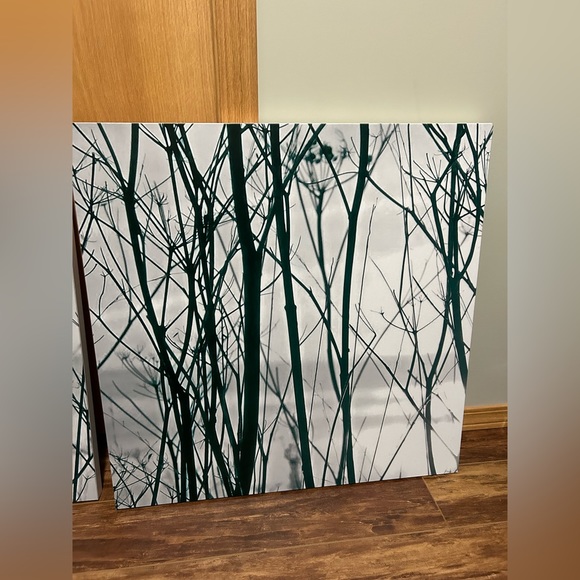 3 Canvas Wall Art - Picture 2 of 7